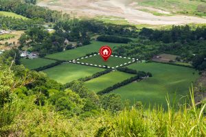 Apartments, Villas or Plots: What’s the Best Investment in North Bangalore?