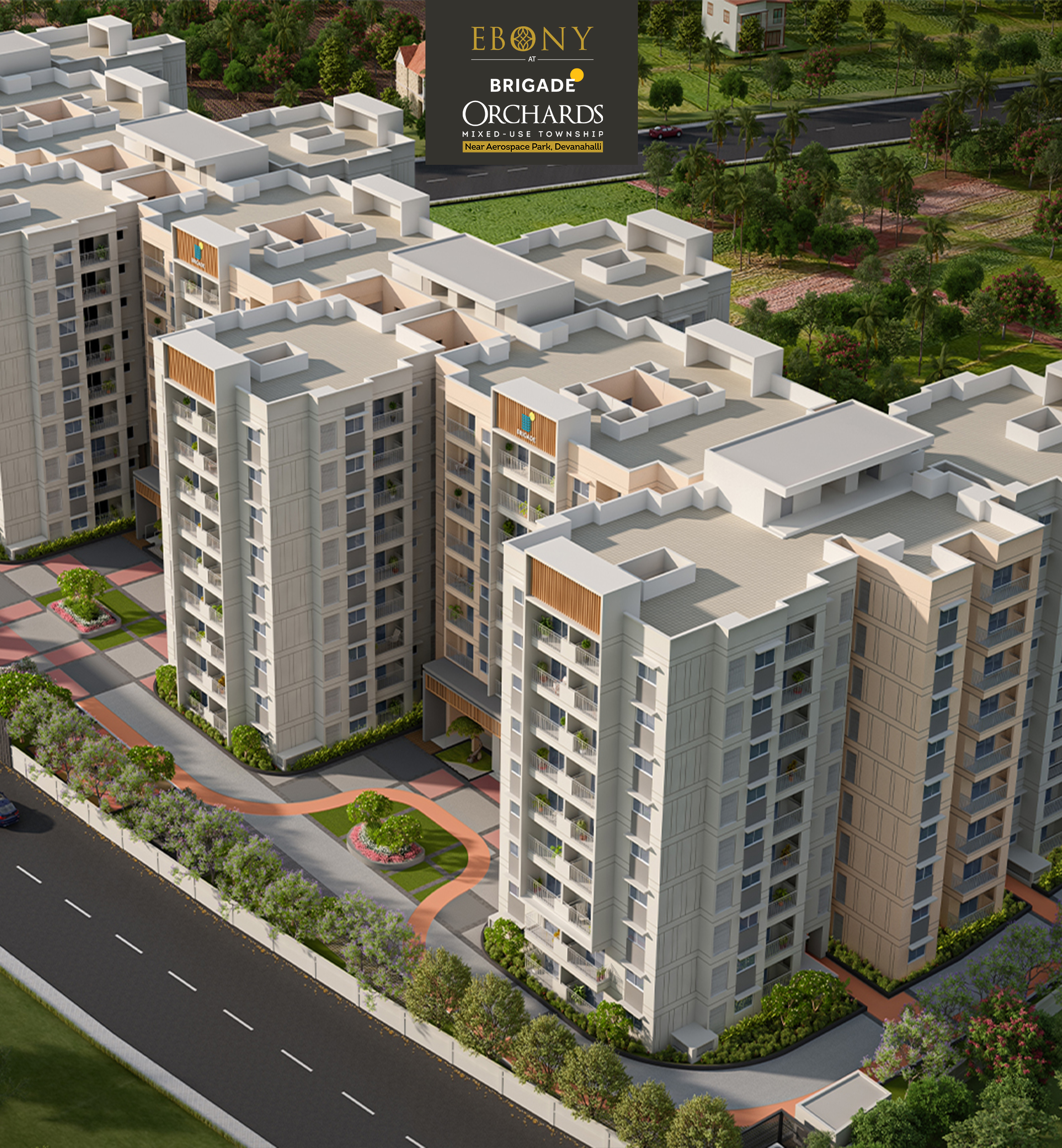 Ebony at Brigade Orchards